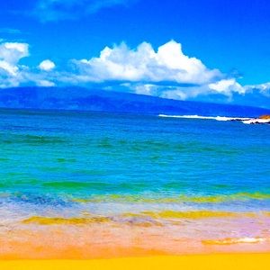 Meet your Posher, Connor